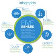 Five Senses Infographic Design N3