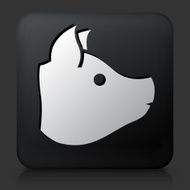 Black Square Button with Pig&#039;s Head Icon