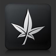 Black Square Button with Leaf Icon N2