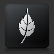 Black Square Button with Leaf Icon N3