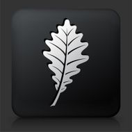 Black Square Button with Leaf Icon N4