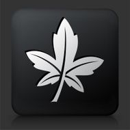 Black Square Button with Leaf Icon N5