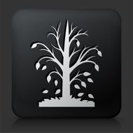Black Square Button with Fall Season