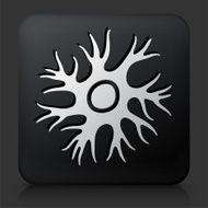 Black Square Button with Nerve Cell