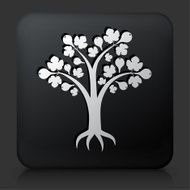 Black Square Button with Pear Tree Icon