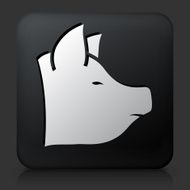 Black Square Button with Pig Icon N2