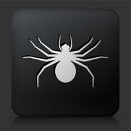Black Square Button with Big Spider