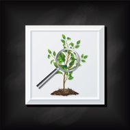 Tree Seddling On A Square Blackboard Icon N2