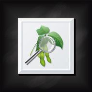 Soybean Plant and Magnifying Glass On A Square Blackboard Icon N2
