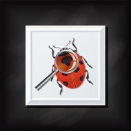 Ladybug and Magnifying Glass On A Square Blackboard Icon N2