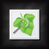 Leaf and Magnifying Glass On A Square Blackboard Icon N2
