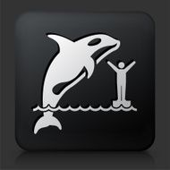 Black Square Button with Orca