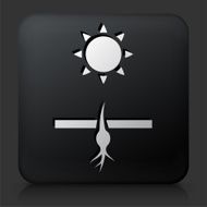 Black Square Button with Sprouting Seed