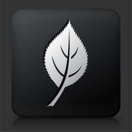 Black Square Button with Leaf Icon N6