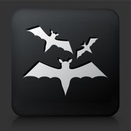 Black Square Button with Three Bats Flying