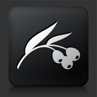 Black Square Button with Berry Leaf Icon N2