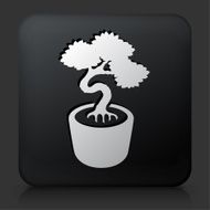 Black Square Button with Bonsai Tree