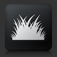 Black Square Button with Patch of Grass
