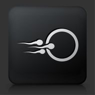 Black Square Button with Sperm and Egg
