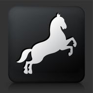 Black Square Button with Horse Icon