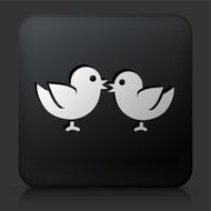Black Square Button with Birds Icon