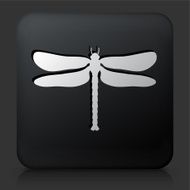 Black Square Button with Dragon Fly Icon