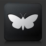 Black Square Button with Moth