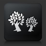 Black Square Button with Tree Icon N2