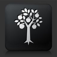 Black Square Button with Tree Apple Icon
