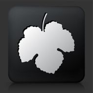 Black Square Button with Leaf Icon N7