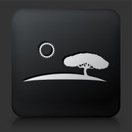 Black Square Button with Safari Icon