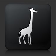 Black Square Button with Giraffe Icon