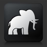 Black Square Button with Elephant Icon