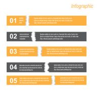 Design Infographic Template N14