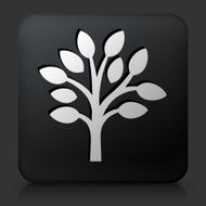 Black Square Button with Tree Icon N3