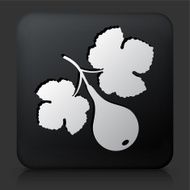 Black Square Button with Fig Fruit