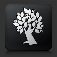 Black Square Button with Olive Tree