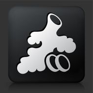 Black Square Button with Ginger Root Icon