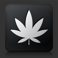 Black Square Button with Marijuana Icon N2