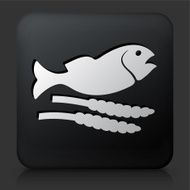 Black Square Button with Fish &amp; Grain Icon
