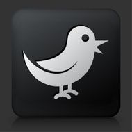 Black Square Button with Bird Icon