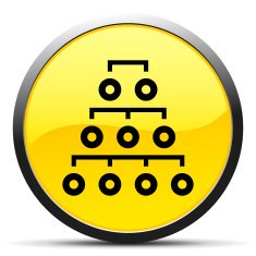 Organization Chart icon on a round button - CurveSeries N2
