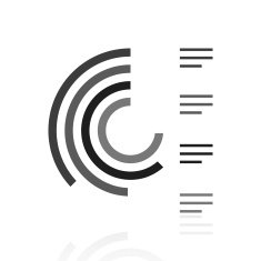 Radial Chart icon on a white background - Prime Series N2
