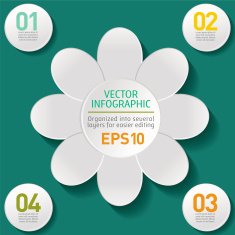 White Flower Infographic On A Green Base N2