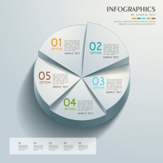 abstract pie chart infographics N2