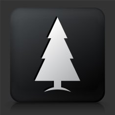 Black Square Button with Christmas Tree Icon N2
