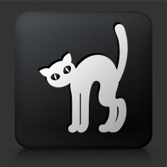 Black Square Button with Halloween Cat