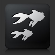 Black Square Button with Gold Fish