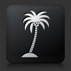 Black Square Button with Palm Tree Icon N8