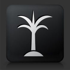 Black Square Button with Palm Tree Icon N9